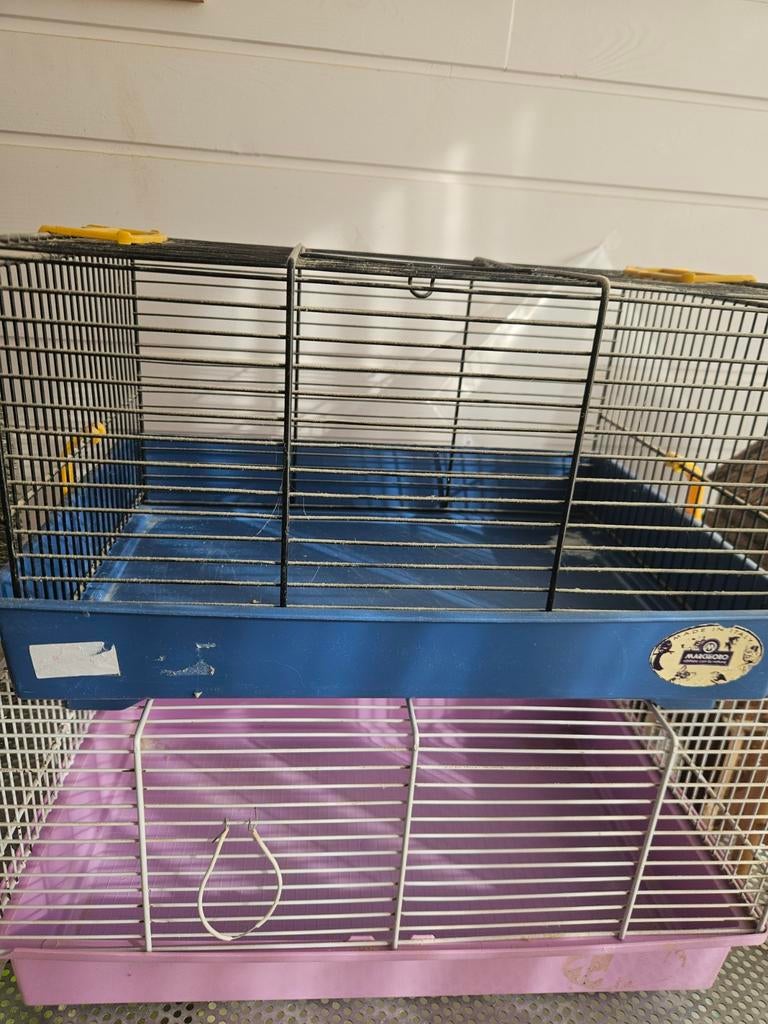 Kooien, Dieren en Toebehoren, Knaagdieren en Konijnen | Hokken en Kooien, Gebruikt, Minder dan 75 cm, Reiskooi of Transportbox