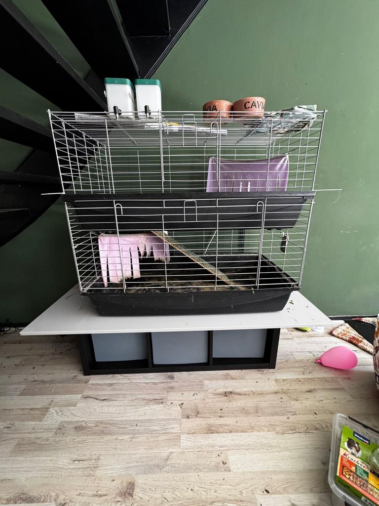 Cavia kooi, Ophalen, Zo goed als nieuw