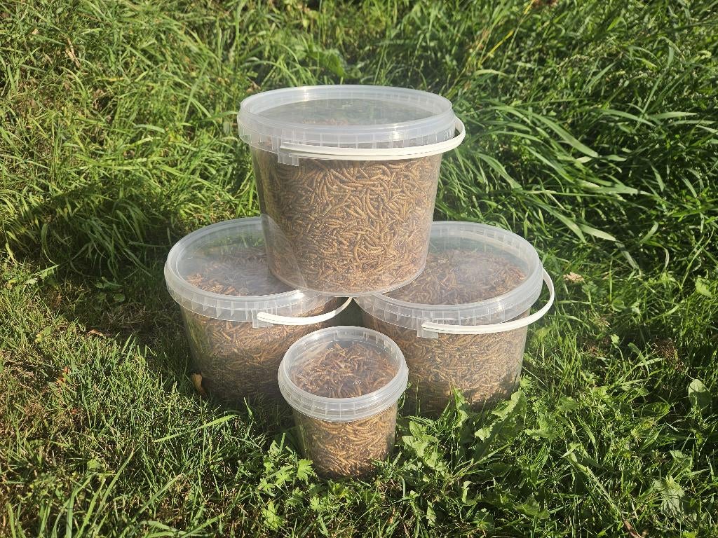 Gedroogde meelwormen, Ophalen, Pluimvee