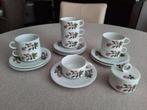 Servies Villeroy en Boch septfontain jaren '60/70, Ophalen of Verzenden
