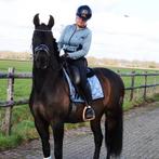 UNIEKE KANS! lieve, prachtige PRE ruin NU IN PRIJS VERLAAGD!, Dieren en Toebehoren, Paarden, Ruin, Dressuurpaard, 3 tot 6 jaar
