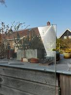 Glazen douchescherm / wand voor badkamer, Doe-het-zelf en Verbouw, Glas en Ramen, Ophalen, Gebruikt, 80 tot 120 cm, 160 cm of meer