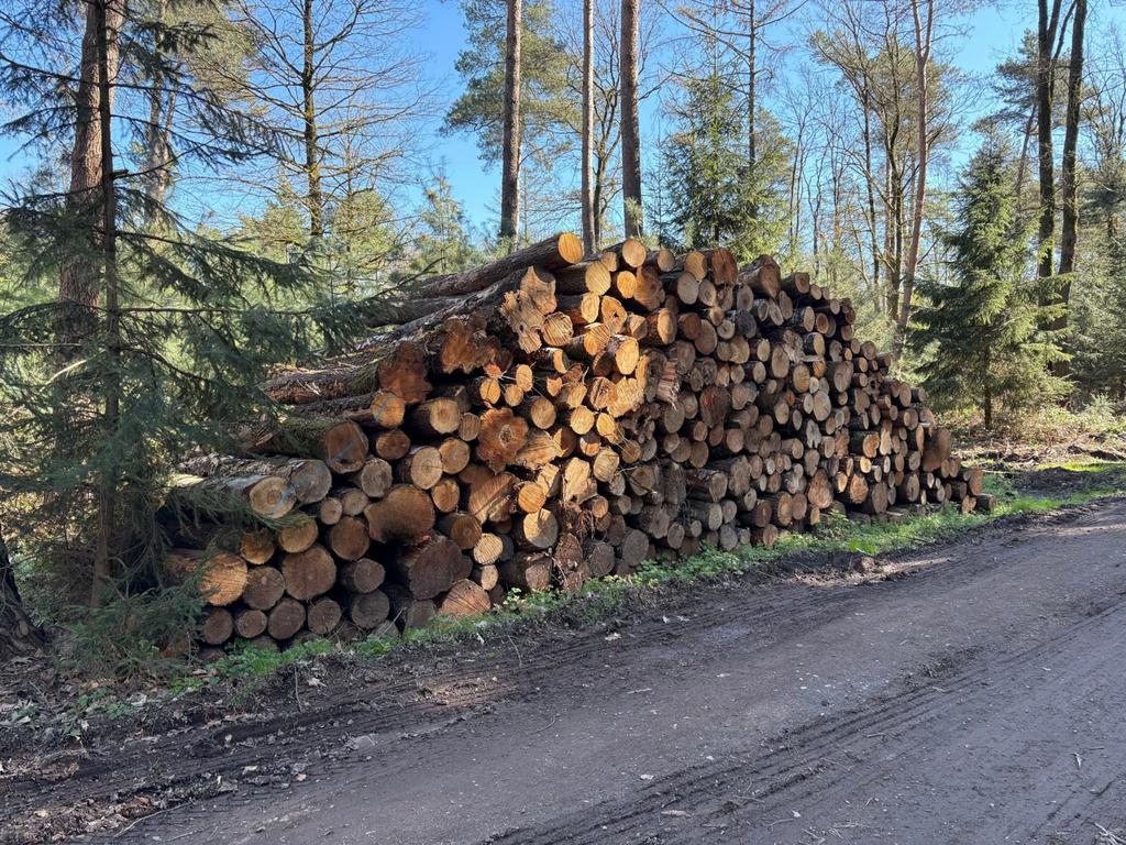 Stammen leverbaar in houtsoorten eik, beuk, berk en es, Tuin en Terras, Haardhout, 6 m³ of meer, Verzenden, Eikenhout, Stammen