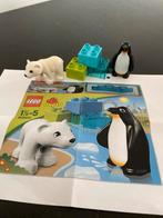 Lego Duplo 10501: Dieren van de Noordpool met ijsbeer en pin, Gebruikt, Overige thema's, Ophalen of Verzenden, Duplo