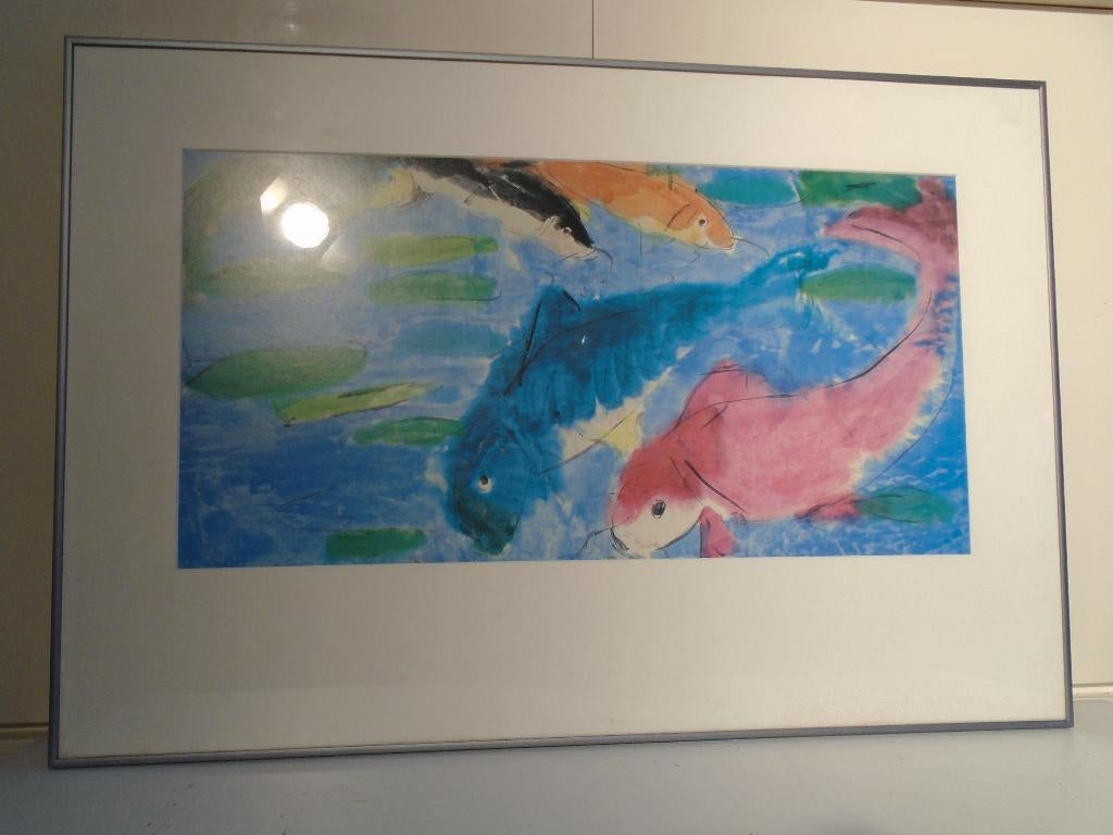 Walasse ting de koy karpers passe-partout, Ophalen, 50 tot 75 cm, Zo goed als nieuw, 75 tot 100 cm