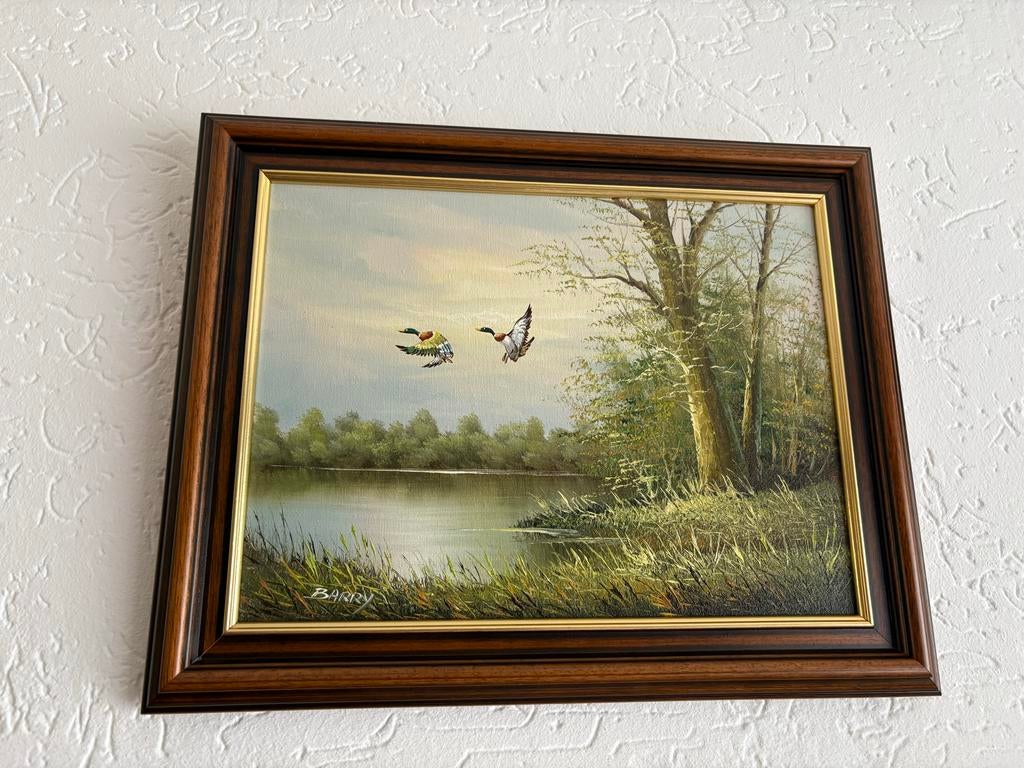 Schilderij natuurlandschap met eenden, Antiek en Kunst, Kunst | Schilderijen | Klassiek, Ophalen