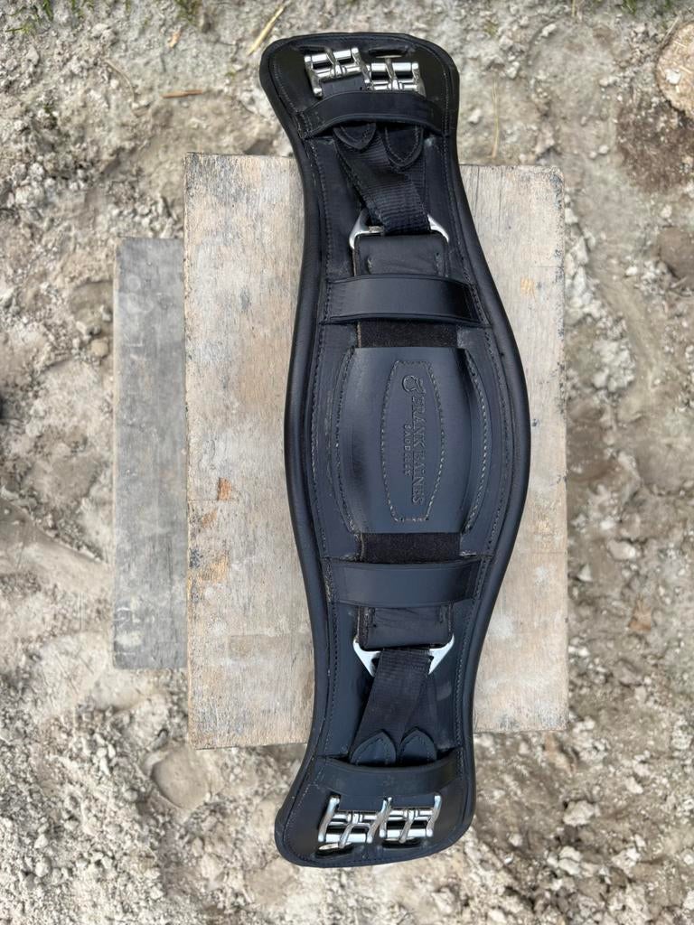 Frank Baines singel, Dieren en Toebehoren, Ophalen of Verzenden, Zo goed als nieuw, Dressuur