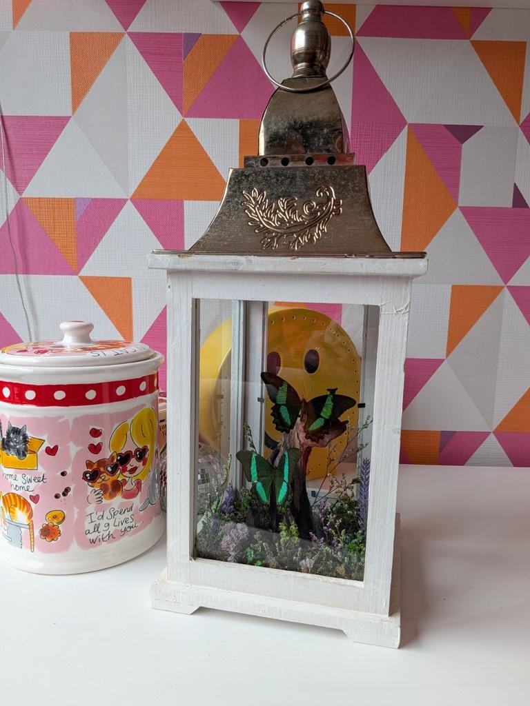 Grote lantaarn met droogbloemen en opgezette vlinders, Ophalen of Verzenden