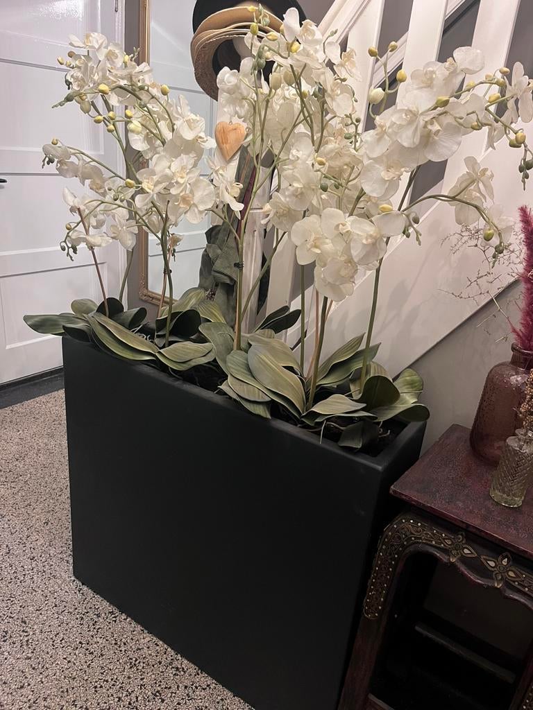 Grote zwarte kunstof bakken met orchidee voor kantoor, Ophalen, Gebruikt