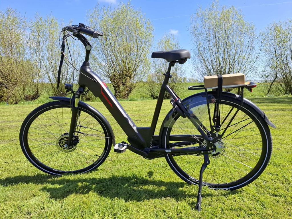 Fietshokje Groningen: Amslod Newton E-Bike Damesfiets NIEUW!, Fietsen en Brommers, Elektrische fietsen, Niet ingevuld, Niet ingevuld