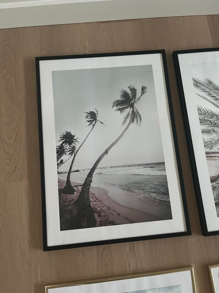 Desenio Schilderij met Palmbomen, Ophalen