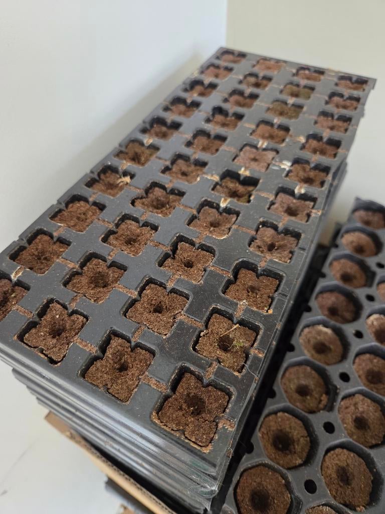 Eazy Plug CT150 zaaitrays (ca 9,5 stuks) met biobased plugs, Ophalen of Verzenden, Volle zon, Minder dan 100 cm