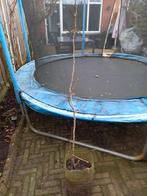 Jonge Zuilboom - Ideaal voor kleine tuinen!, Tuin en Terras, Bloeit niet, Ophalen of Verzenden, 100 tot 250 cm, Zuilboom