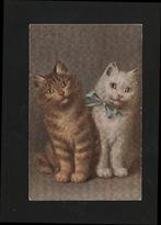 Prachtige ansicht met POEZEN D10-6, Verzenden, Voor 1920, Ongelopen, Overige thema's