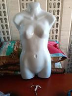 Vrouwelijke Torso - Holle Rug  23 stuks, Ophalen, Zo goed als nieuw