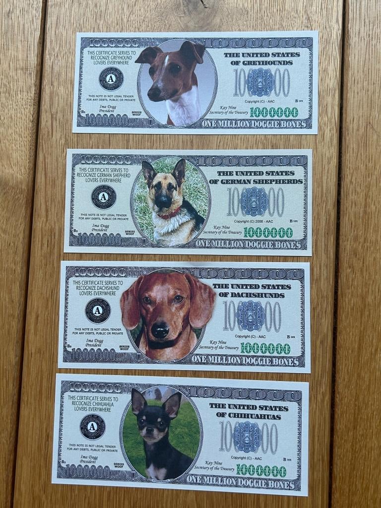 Amerikaans biljet Honden, Ophalen of Verzenden, Zuid-Amerika