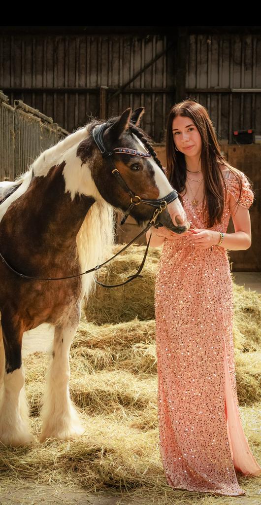 Verzorg/bijrijd pony gezocht!, Ophalen of Verzenden, Zo goed als nieuw