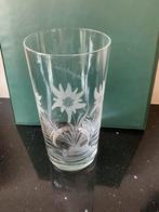 Prachtig oud geëtst longdrink glas Mayerhofen in Tirol, Ophalen of Verzenden, Zo goed als nieuw, Waterglas
