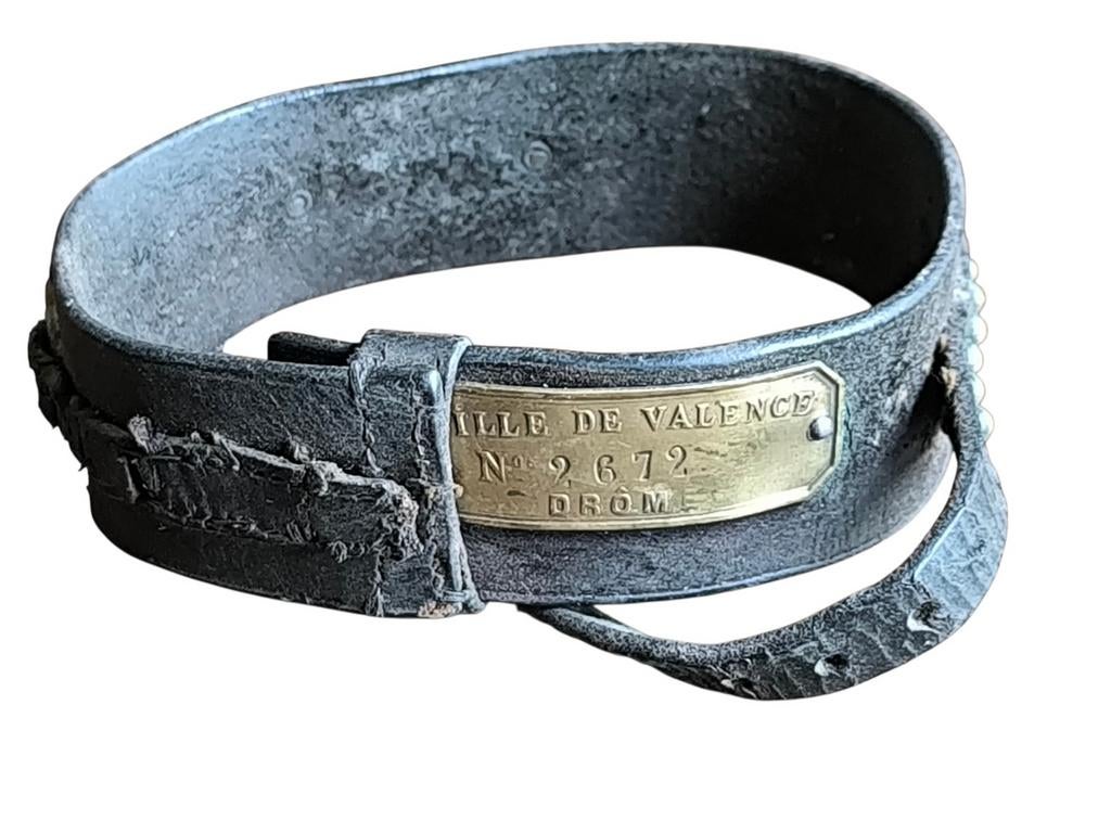 Antiek halsband hond Frankrijk 19e eeuw, Antiek en Kunst, Ophalen of Verzenden