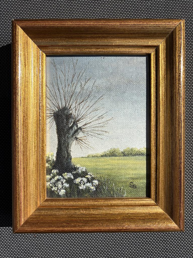 Schilderij Sylvia Boele, Antiek en Kunst, Ophalen of Verzenden