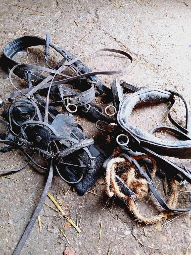 Sleeptuig voor b pony of c pony, Ophalen of Verzenden