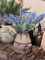 Prachtige kunst lavedel, Ophalen of Verzenden