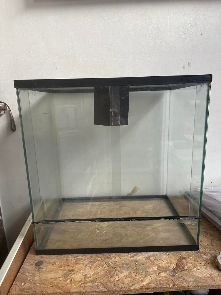 Terrarium, Dieren en Toebehoren, Reptielen en Amfibieën | Toebehoren, Ophalen, Gebruikt, Terrarium of Paludarium