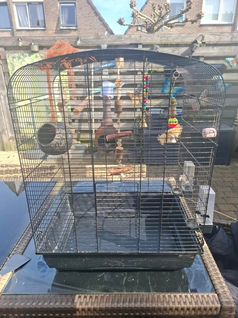 Vogelkooi, Ophalen, Metaal, Vogelkooi