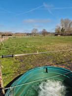 Weide/paddock in Udenhout