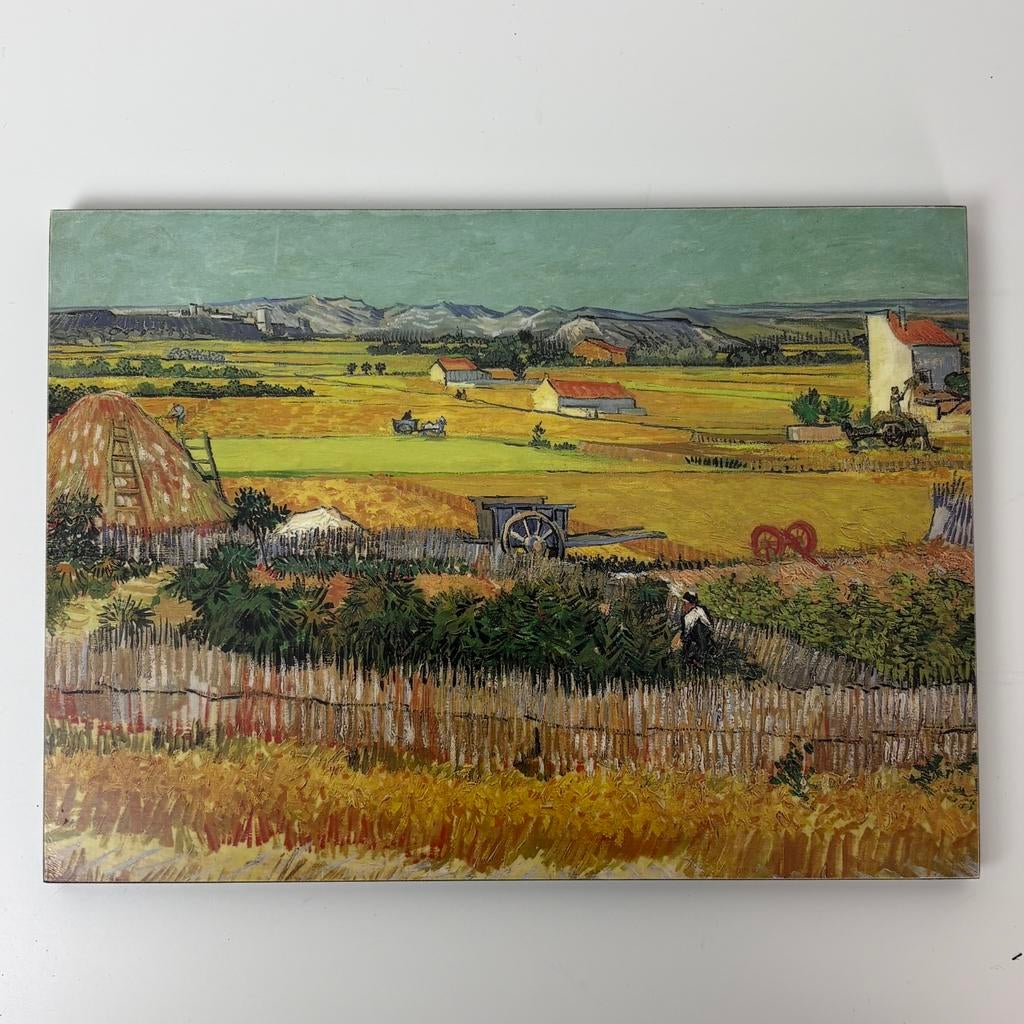 Vincent van gogh reproductie schilderij lijst, Ophalen of Verzenden, 1980 tot heden, Overige onderwerpen
