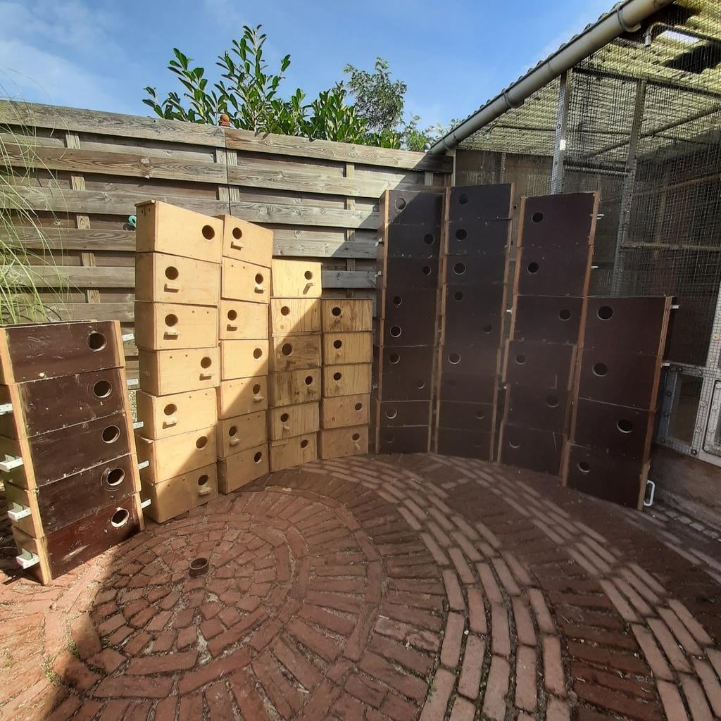 Broedbloken, Dieren en Toebehoren, Ophalen, Hout, Broedkooi of Kweekkooi