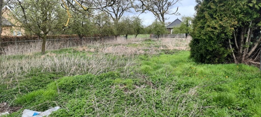 weidegang - weiland - hobbyweide - grond om te tuinieren, Dieren en Toebehoren, Stalling en Weidegang, Weidegang