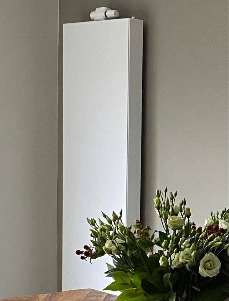 Design radiator T22 - 1800x600 - 2819 watt, Doe-het-zelf en Verbouw, Verwarming en Radiatoren, Ophalen, Radiator, Zo goed als nieuw