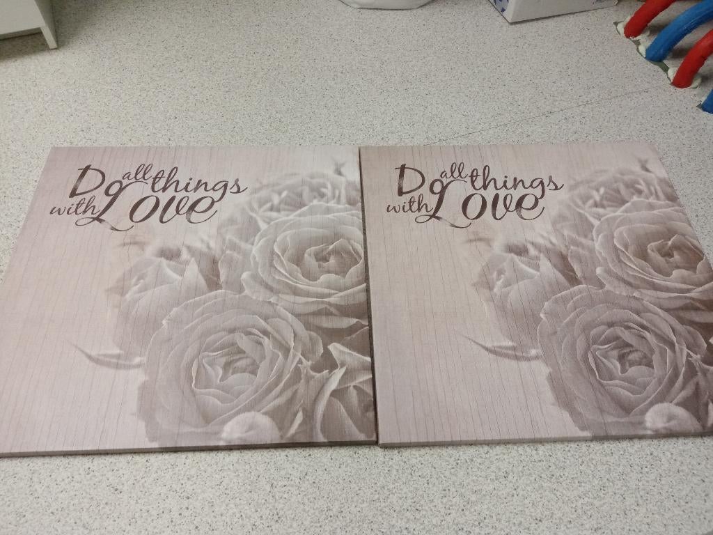2 canvas schilderijen rozen in nette staat, Ophalen, Zo goed als nieuw, Schilderij, Minder dan 50 cm