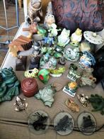 Ruim 45 kikkers uit verschillende landen, Ophalen