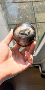 Versteend hout bol, Ophalen of Verzenden, Mineraal