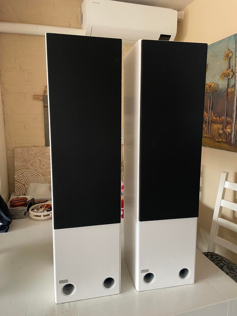 Van Medevoort BD4.5  speakers, Ophalen