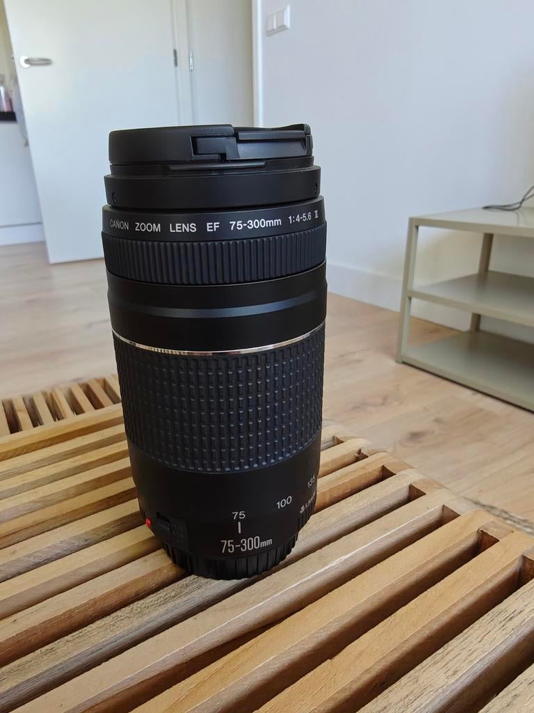 Canon zoomlens EF 75-300mm 1:4-5.6 III - Zo goed als nieuw, Audio, Tv en Foto, Fotografie | Lenzen en Objectieven, Ophalen of Verzenden