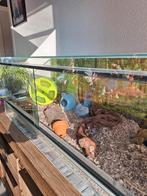 Hamsterkooi, Dieren en Toebehoren, Ophalen, Zo goed als nieuw