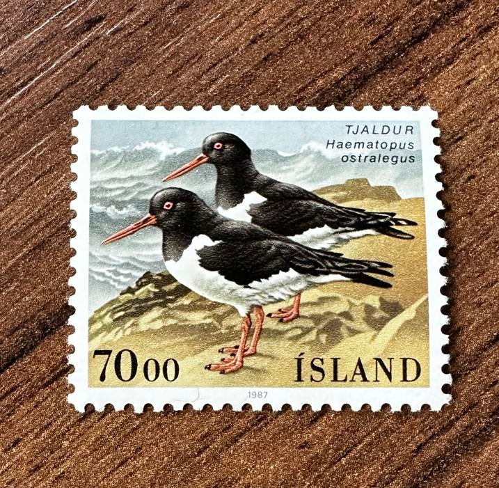 IJsland 1987 - Vogels (Haematopus ostralegus) - Postfris, Ophalen of Verzenden, IJsland, Postfris