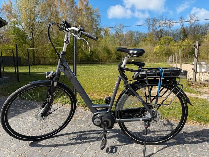 Pegasus elektrische fiets met Bosch Active Line motor, Fietsen en Brommers, Elektrische fietsen, Gebruikt, Overige merken, 55 tot 59 cm