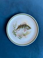 Vintage Thiersheim Bavaria Porselein karper Vis bordje, Ophalen of Verzenden