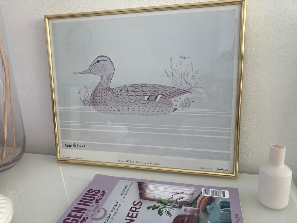 Poster van Eend in goudkleurige lijst, Huis en Inrichting, Woonaccessoires | Schilderijen, Tekeningen en Foto's, Gebruikt, Foto of Poster