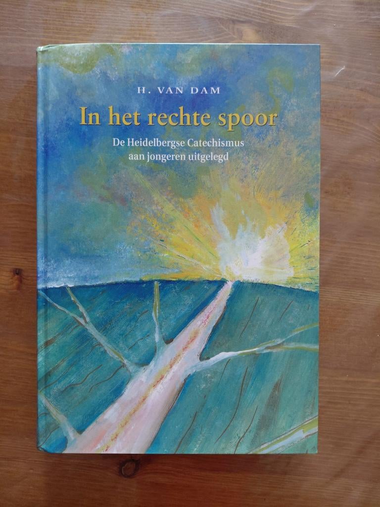 H. van Dam - In het rechte spoor, Ophalen of Verzenden, Gelezen, H. van Dam