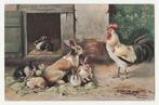 Konijnen en haan.  Schonian.  Illustrateurs., Verzenden, Voor 1920, Gelopen, Overige thema's