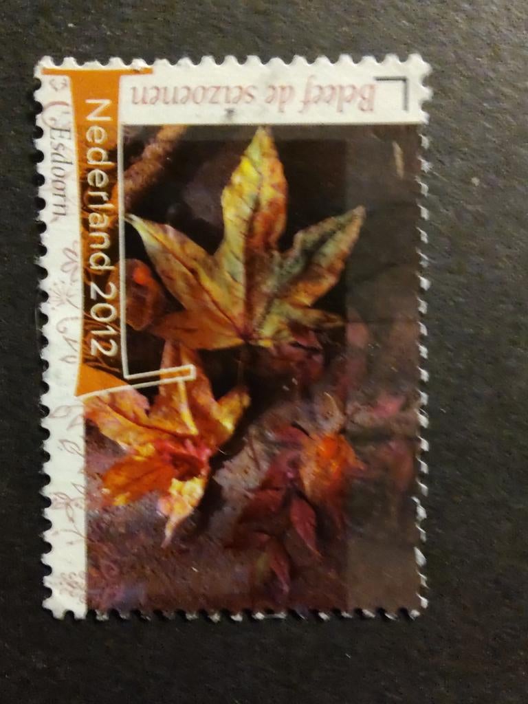 2957 esdoorn 2012 seasons, Ophalen of Verzenden