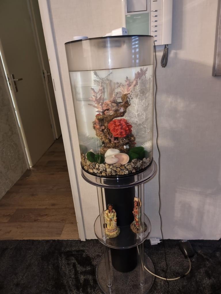 Biorb tubbe 30lt, Ophalen, Zo goed als nieuw, Leeg aquarium