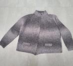 Wollen damesvest maat 48 Gollehaug., Kleding | Dames, Ophalen of Verzenden, Zo goed als nieuw, Grijs, Trui of Vest