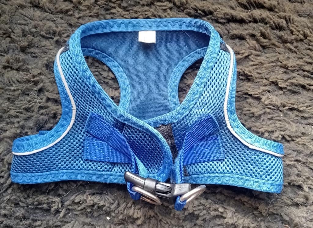 Honden tuigje voor kleine/middelgrote hond (35cm), Ophalen of Verzenden, Zo goed als nieuw, Hondenriem-accessoire