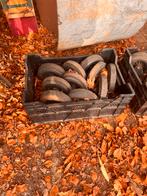 22 sterke zwenkwielen, Ophalen, Zo goed als nieuw